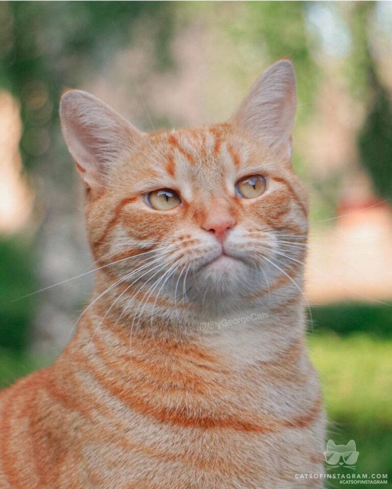 The face of disapproval
