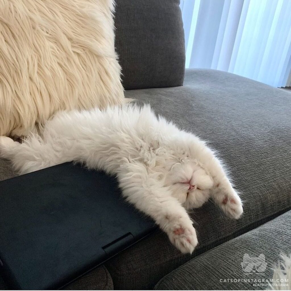 Dreaming of a rollercoaster ride!