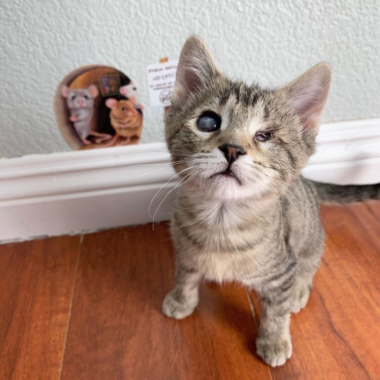 “Sweet, adventurous Pippi girl. Being blind doesn’t hold