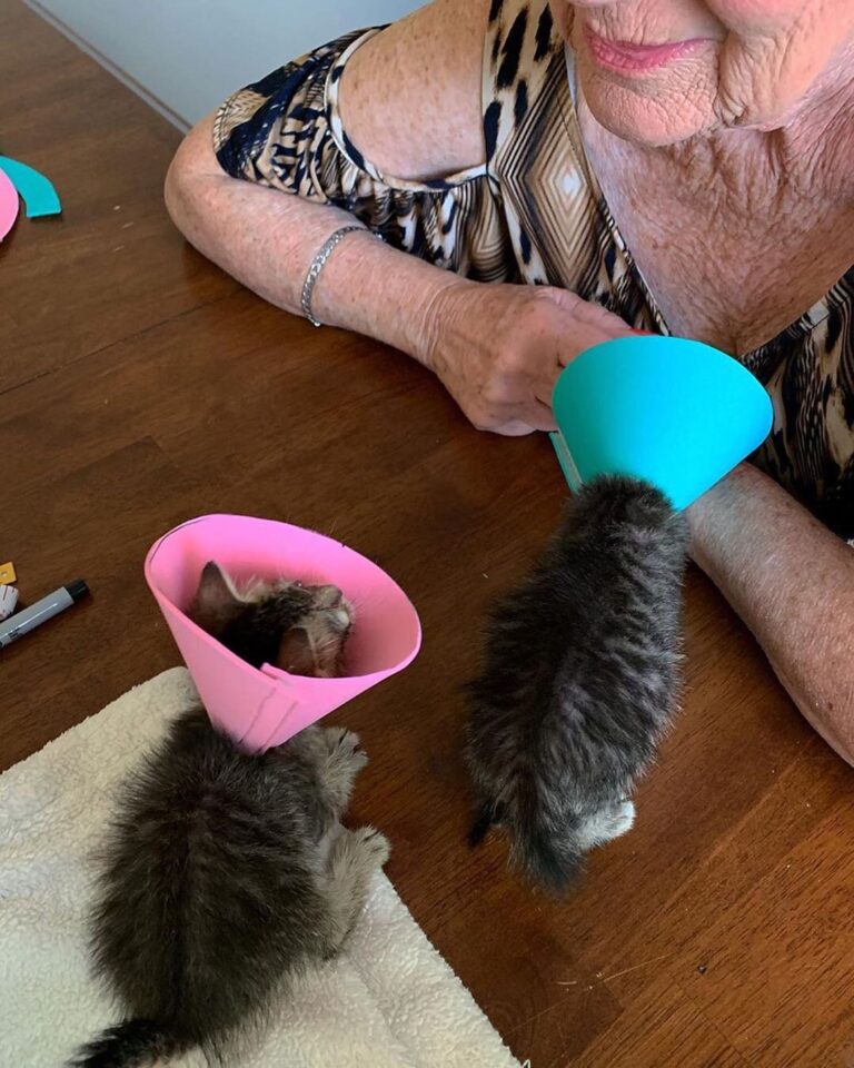 “The cup-heads are now cone-heads thanks to my Nana! The