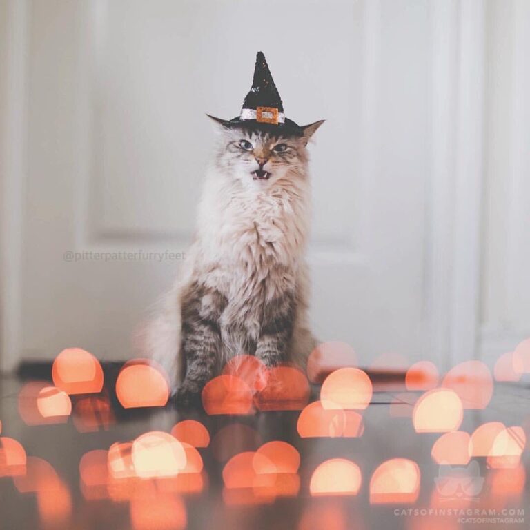 “Finnegan is ready to put a spell on you! See more