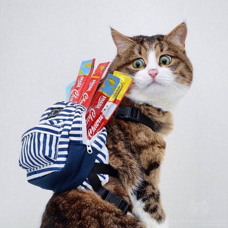 Rexie: I only packed the essentials!