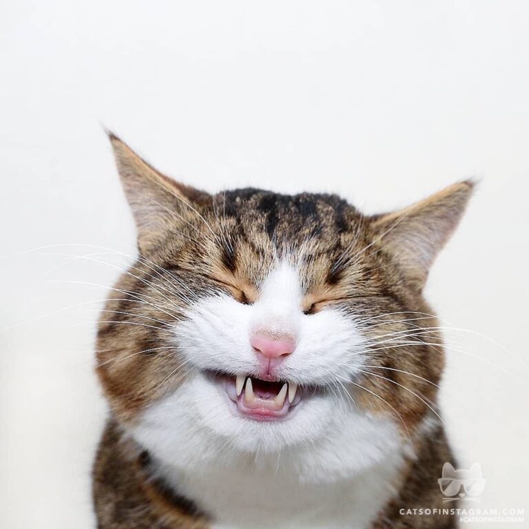 Smile!