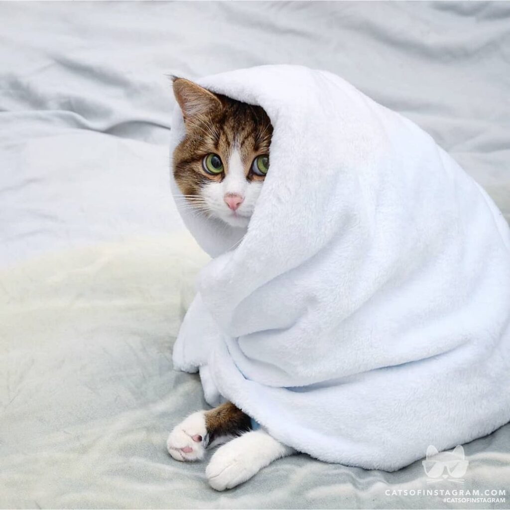 Spending winter season like…