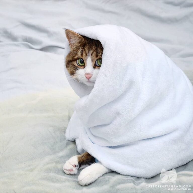 Spending winter season like…