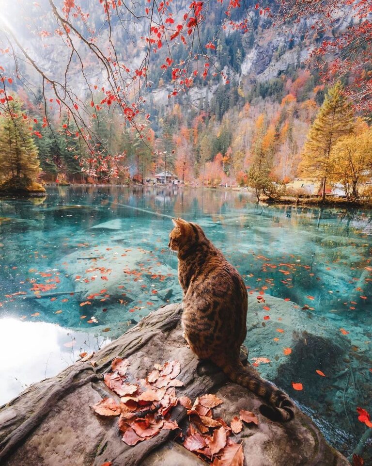 Enjoying the moment