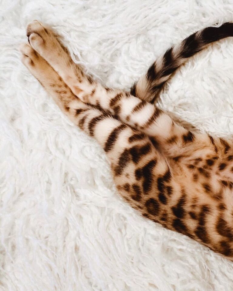 Sleepy baby