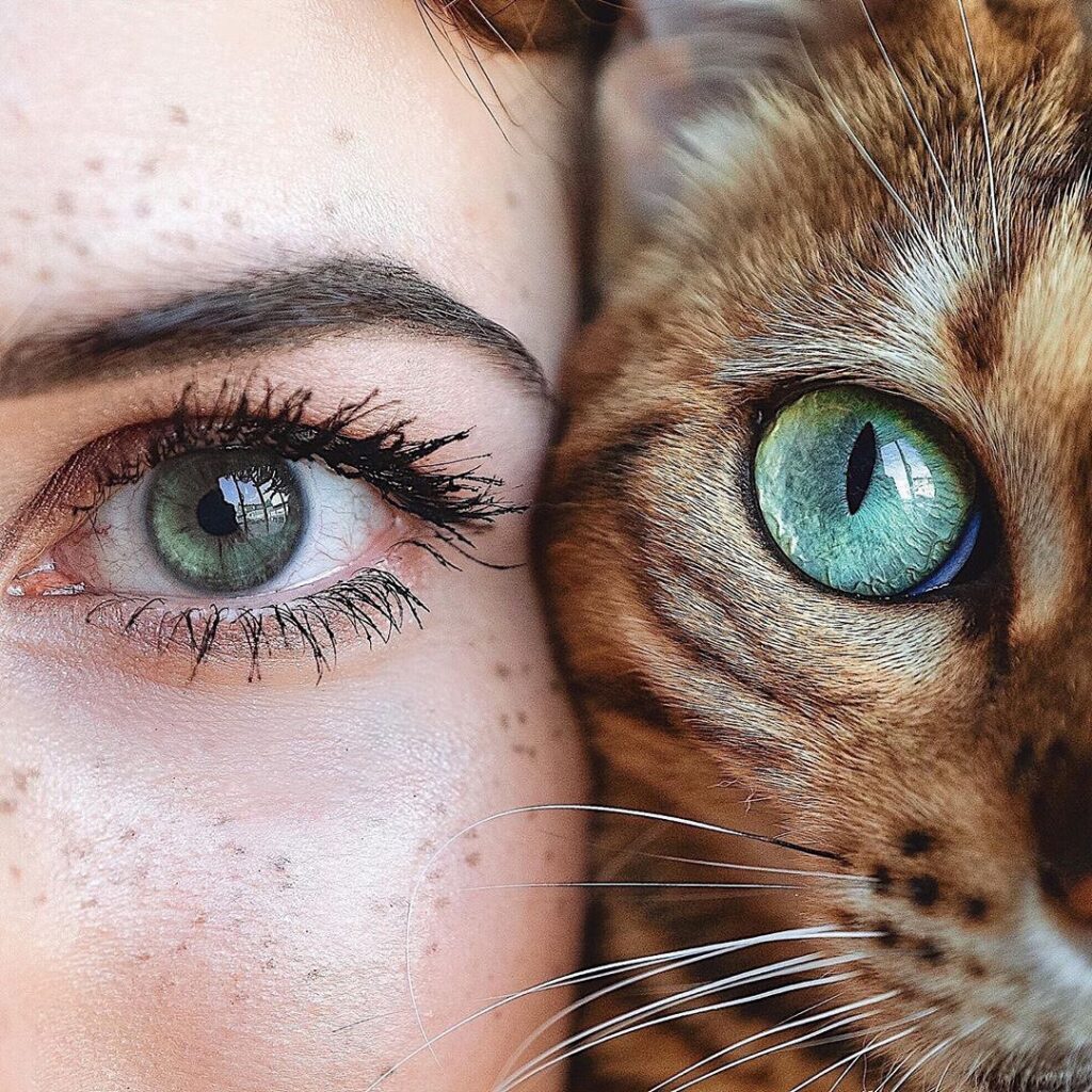 There is sublime beauty in the depth of your eyes