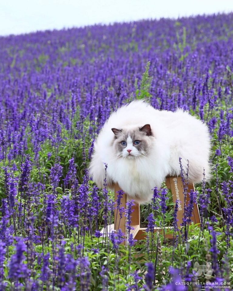 Am I gorgeous?