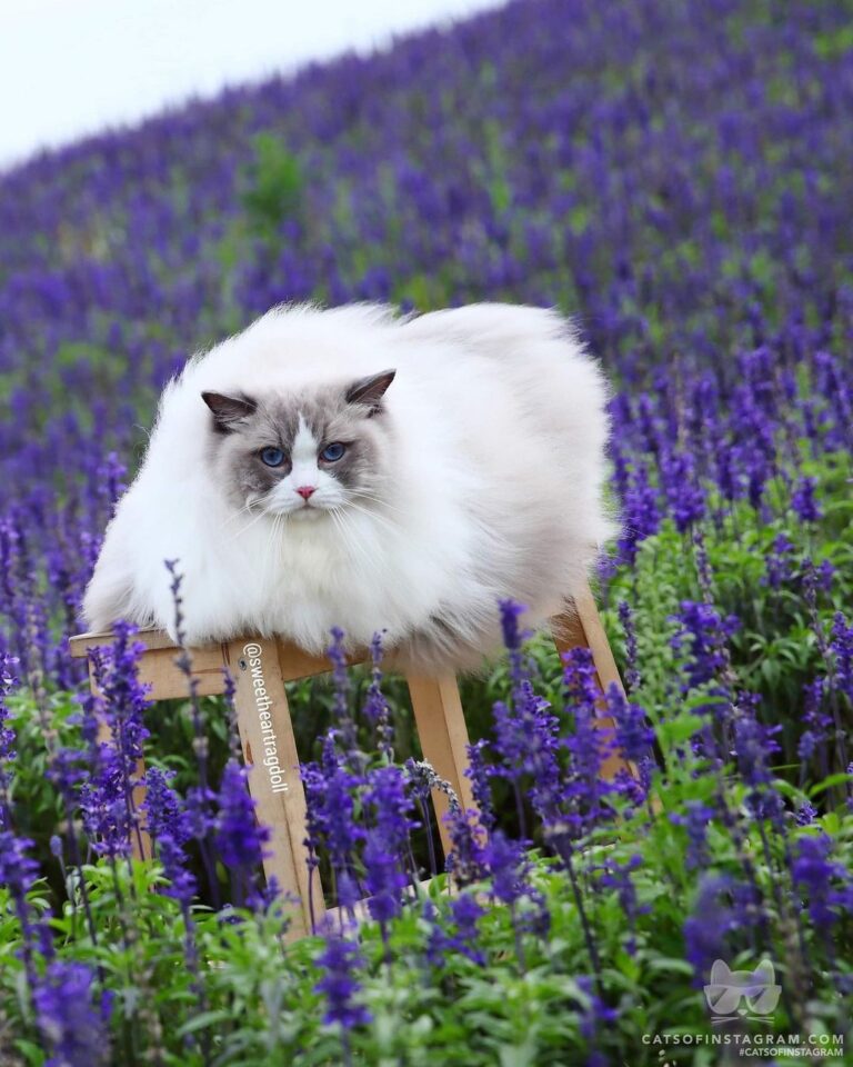 Humans I’m watching you