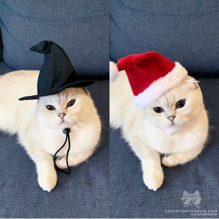 Me on October 31 vs. me on November 1