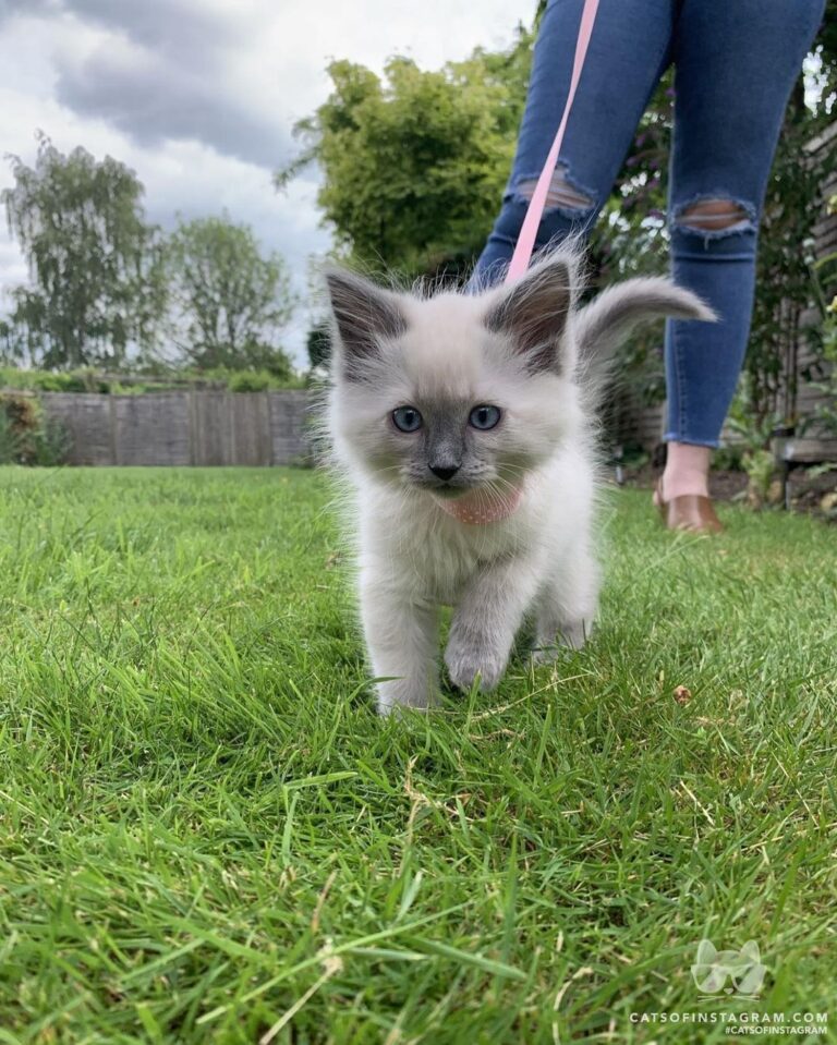 Don’t you think that pink is his colour?