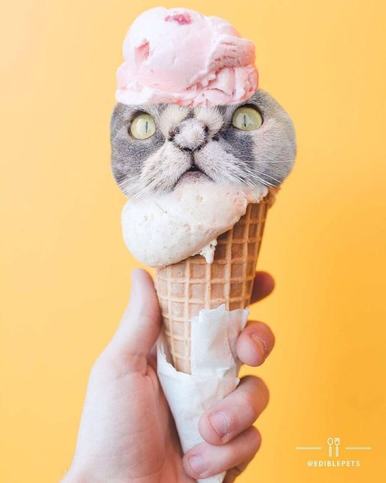 “What do you call this yummy ice cream treat? Than
