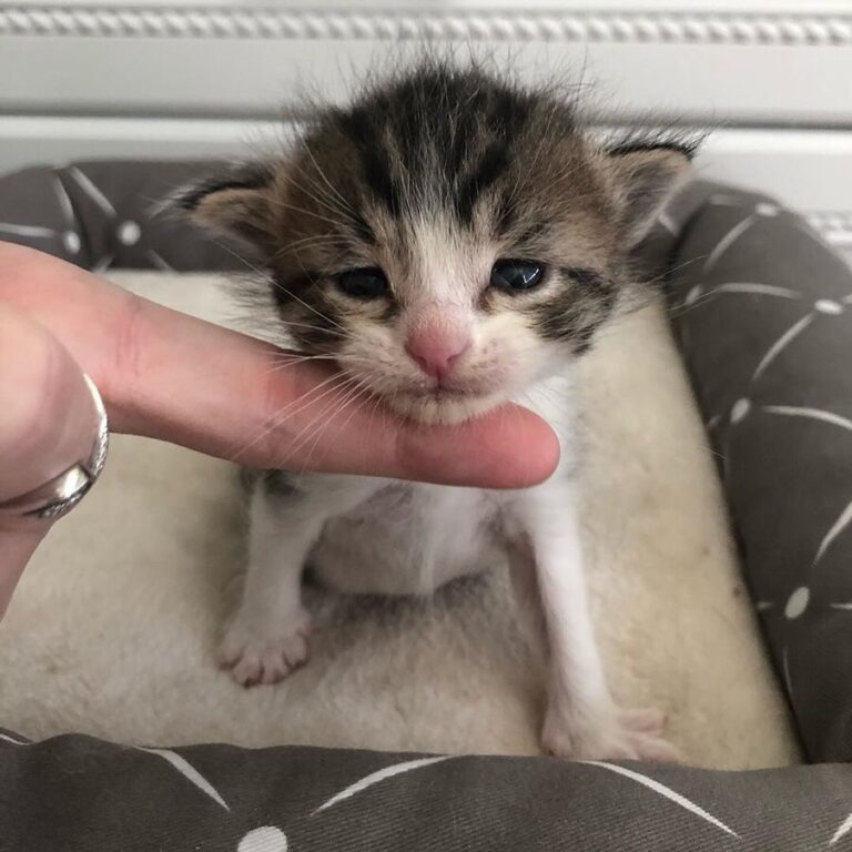 “Can you believe this is the same little bit I pulled