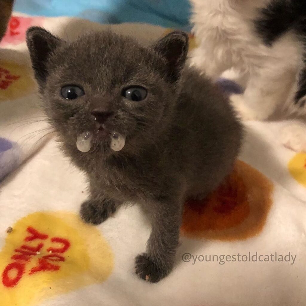 Ok so you don’t like the meds?