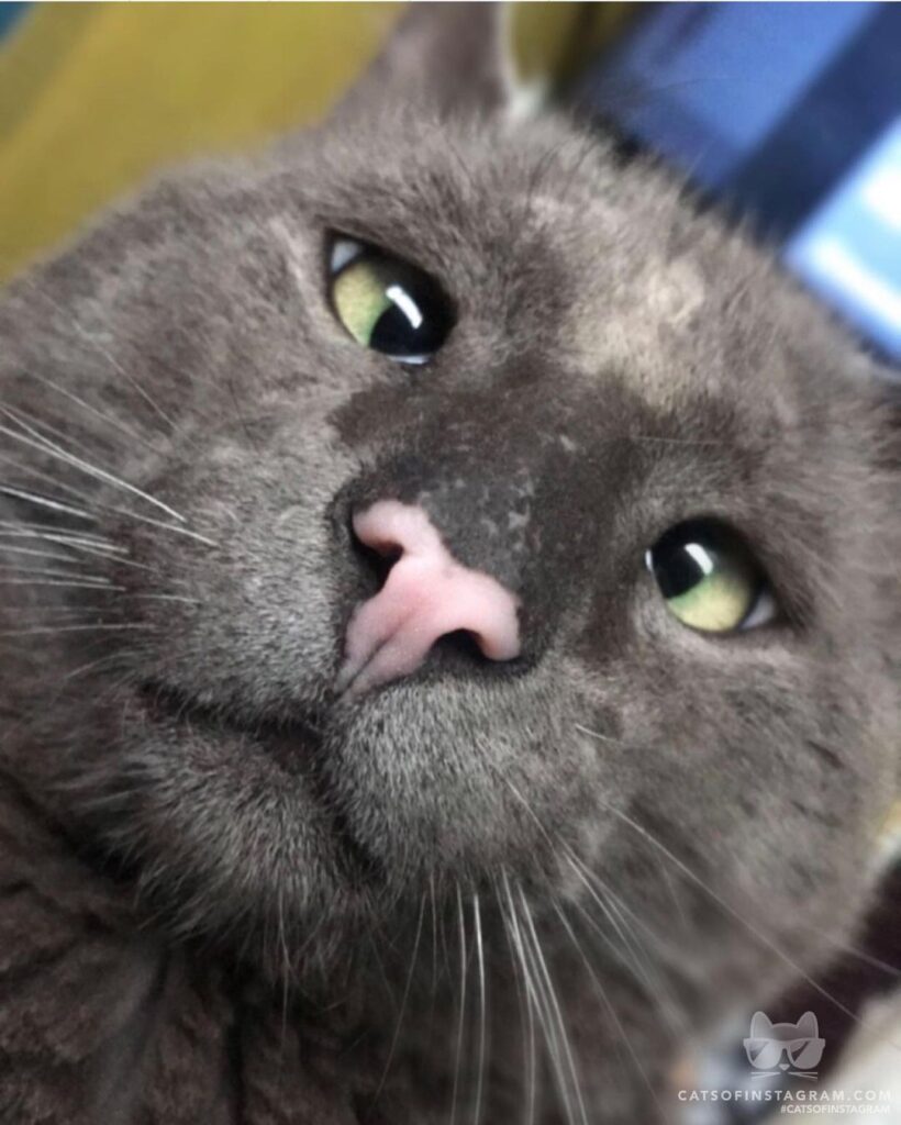 Love isn’t blind, It’s Cross-Eyed