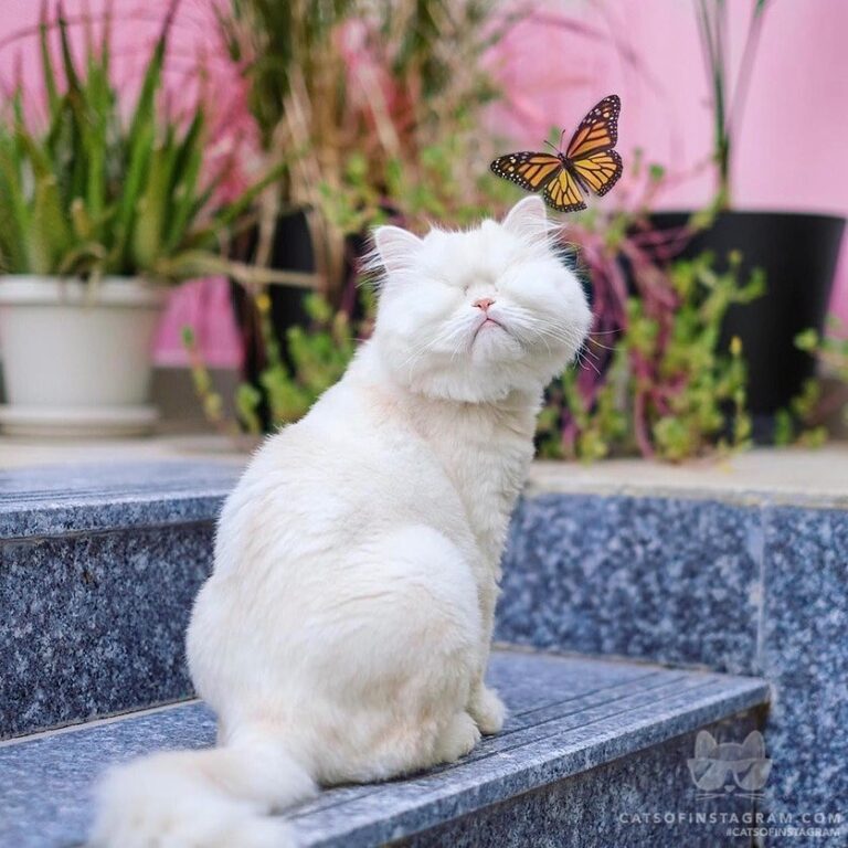 “It’s a beautiful day So show some love For plants and trees