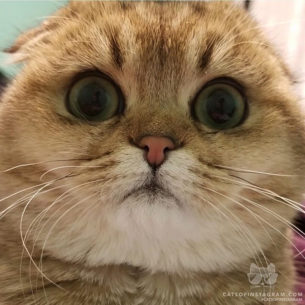 Up close and personal