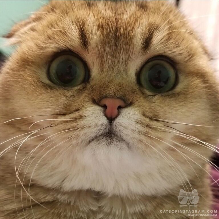 Up close and personal