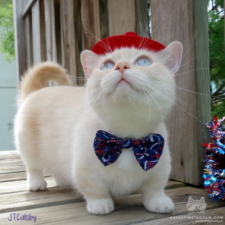 Happy Independence Day!