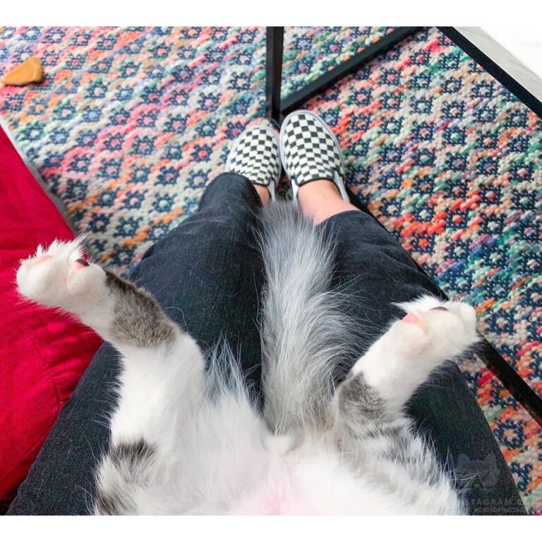 Showin’ off some toe fuzz