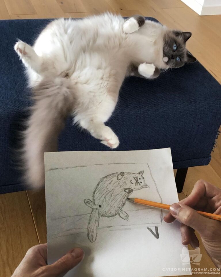 Draw me like one of your French girls
