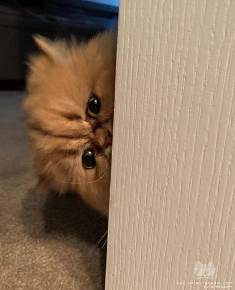 Can you come back later? I’m not dressed yet