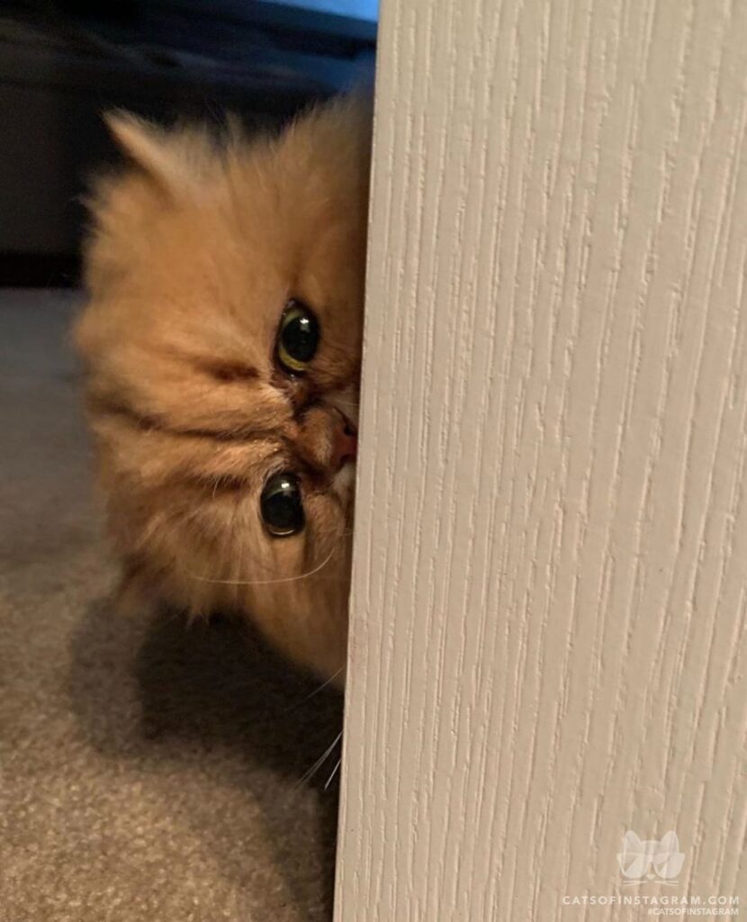 Can you come back later? I’m not dressed yet