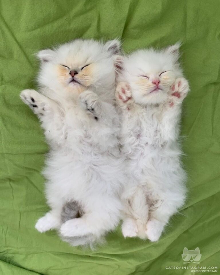 Sleep tight