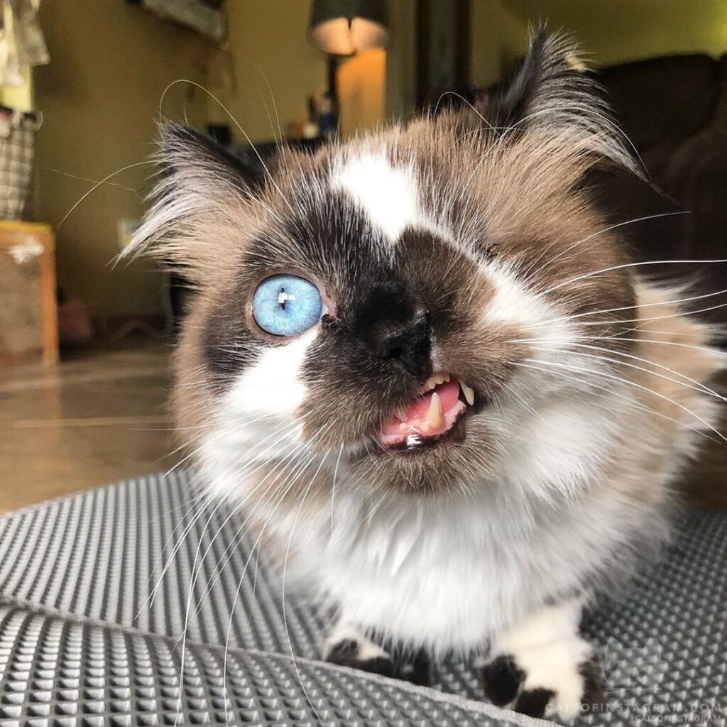 “Got any nip?” -cricket