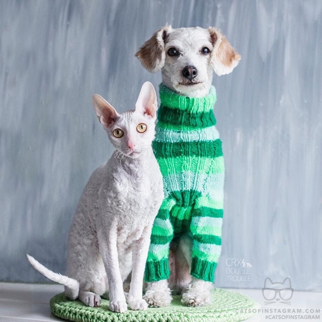 Look at us. Aren’t we handsome?