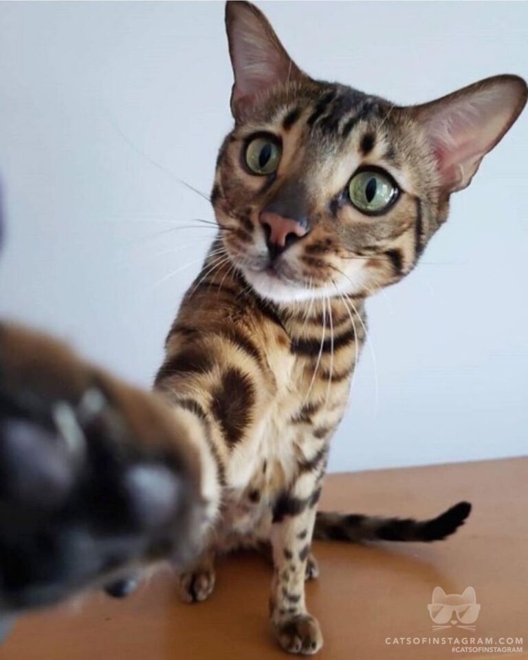 But first… Lemme take a selfie!!