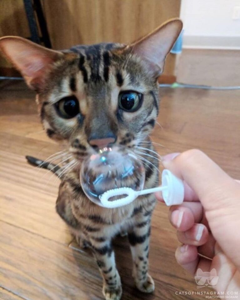 Mummy, what is this? Can I touch it?!
