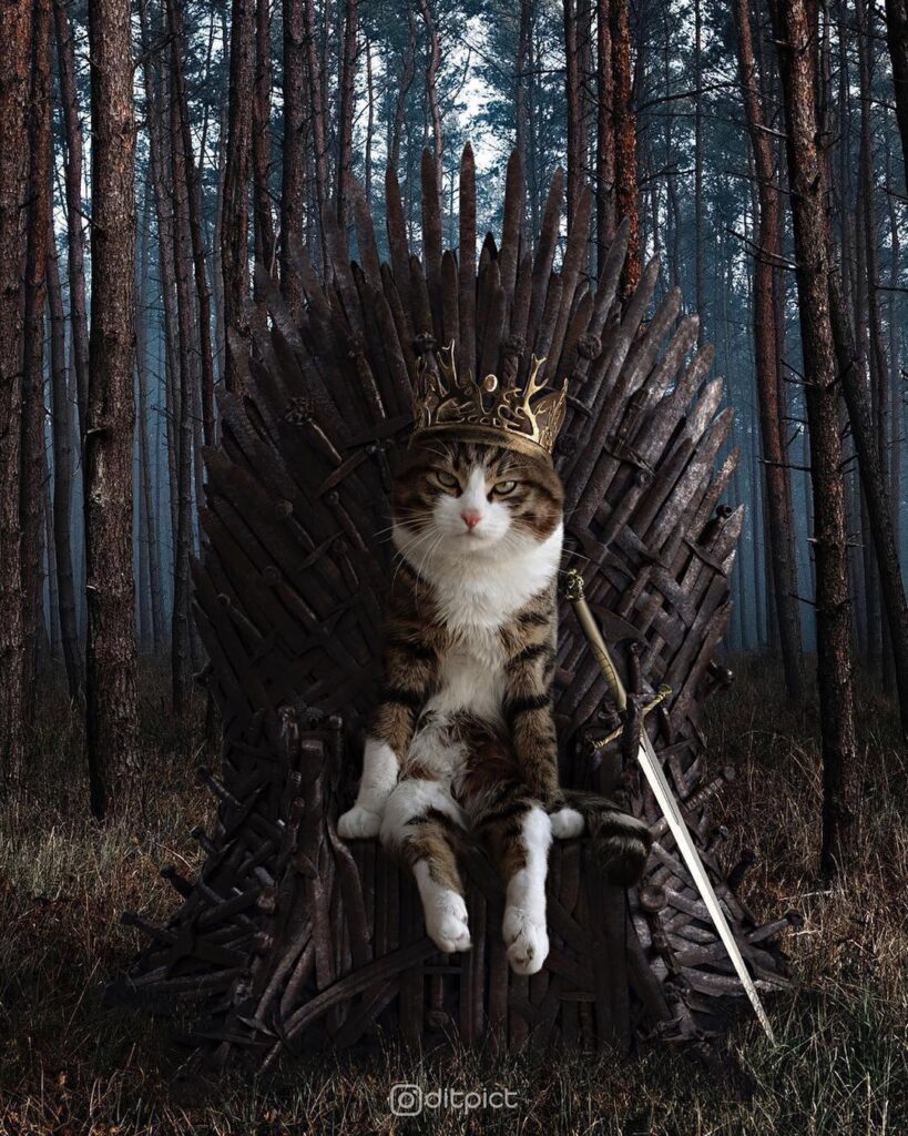 & @rexiecat: “The King who deserves the Iron Throne !”