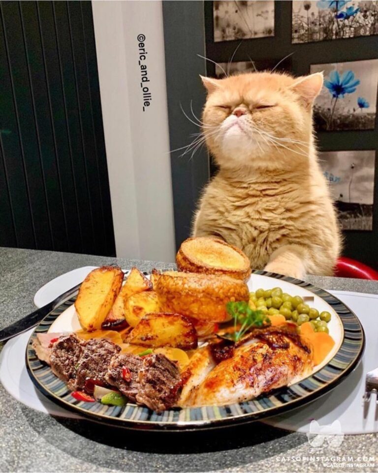 That’s not what I ordered!!