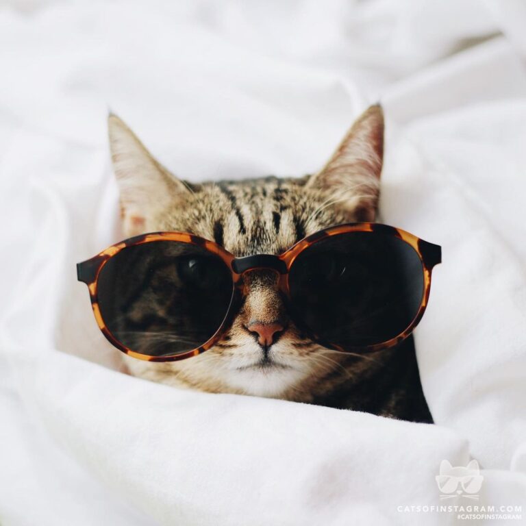 Too cool to care