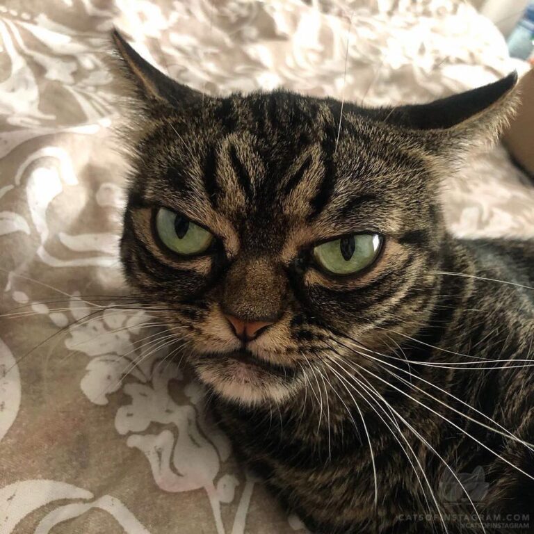 Not in a mood today. And everyday.