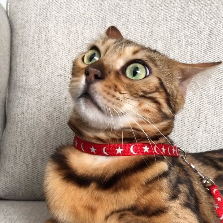 What was that?!