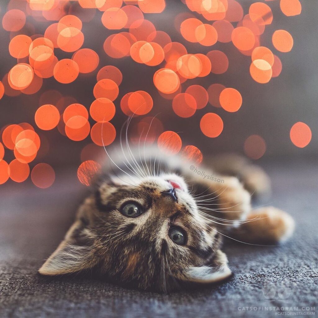 “Dreaming of you (: @hollysisson; See more of Emma on @pitte