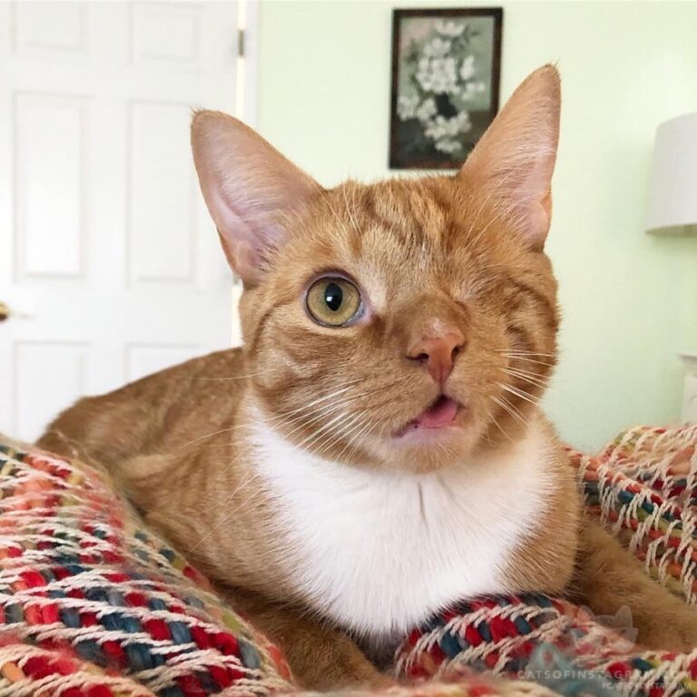 Daily tongue-out photo shoot