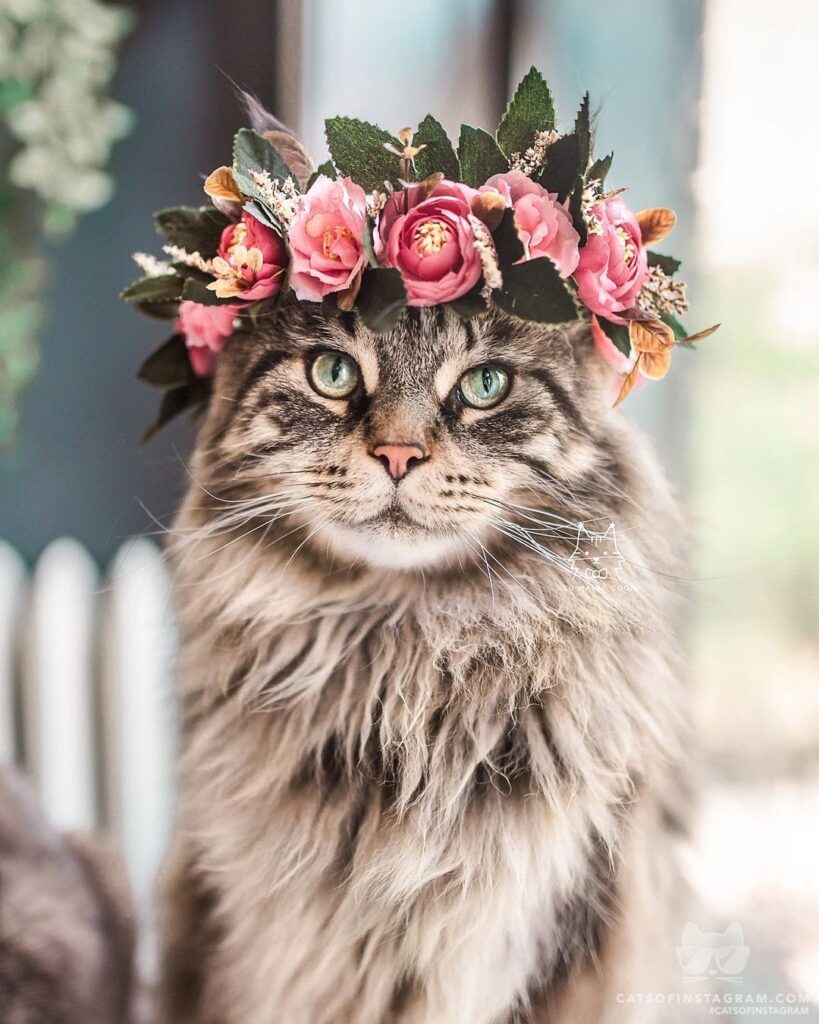 Feeling cute, might delete later idk