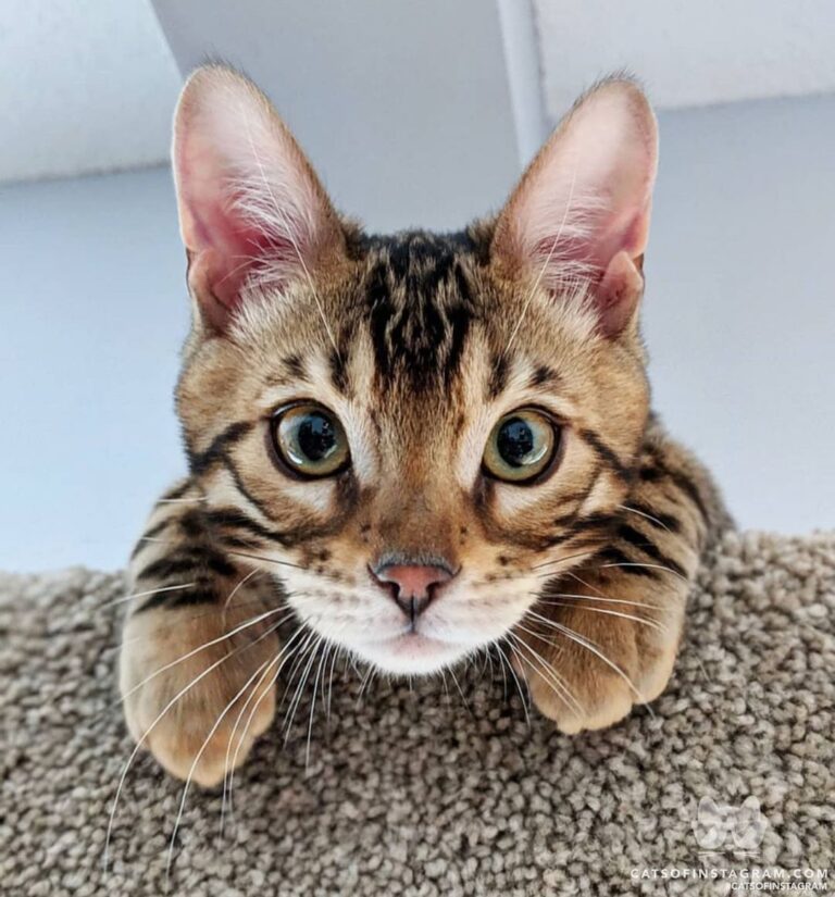 “Being cute and all when I’m actually just waiting to