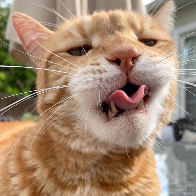 They say it’s a genetic thing, can you curl your tongue?