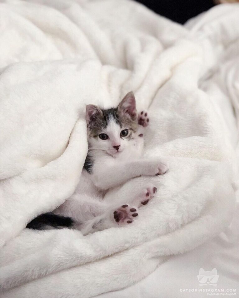 When you know you have the cutest toe beans…