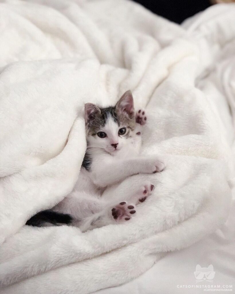 When you know you have the cutest toe beans…