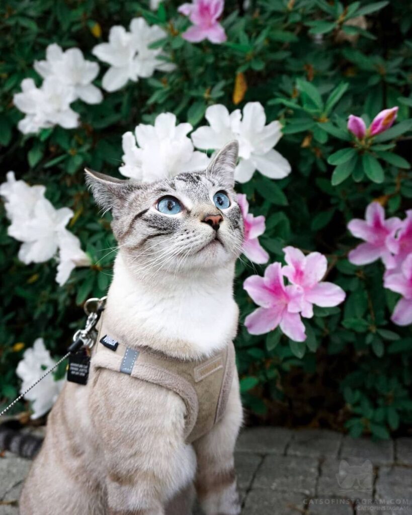 Spring is in full swing