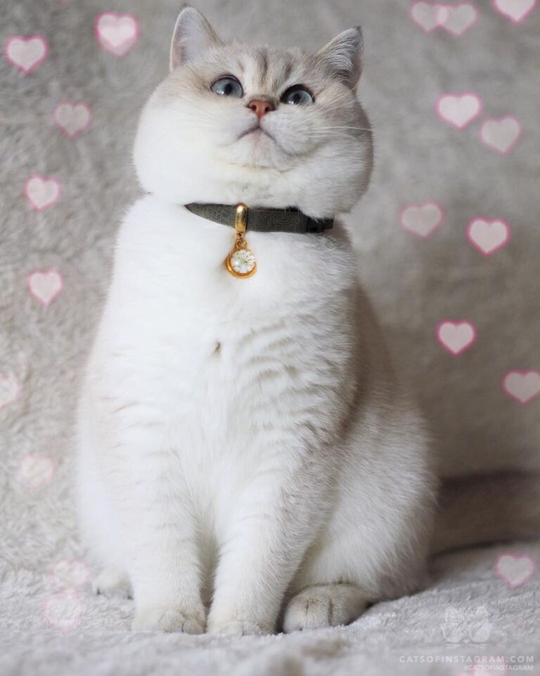““Love is raining down on me !” ~ Missy . The love you
