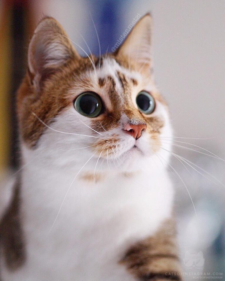 Always curious