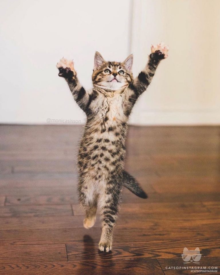 “Emma is reaching for the stars! See more of Emma (and her b