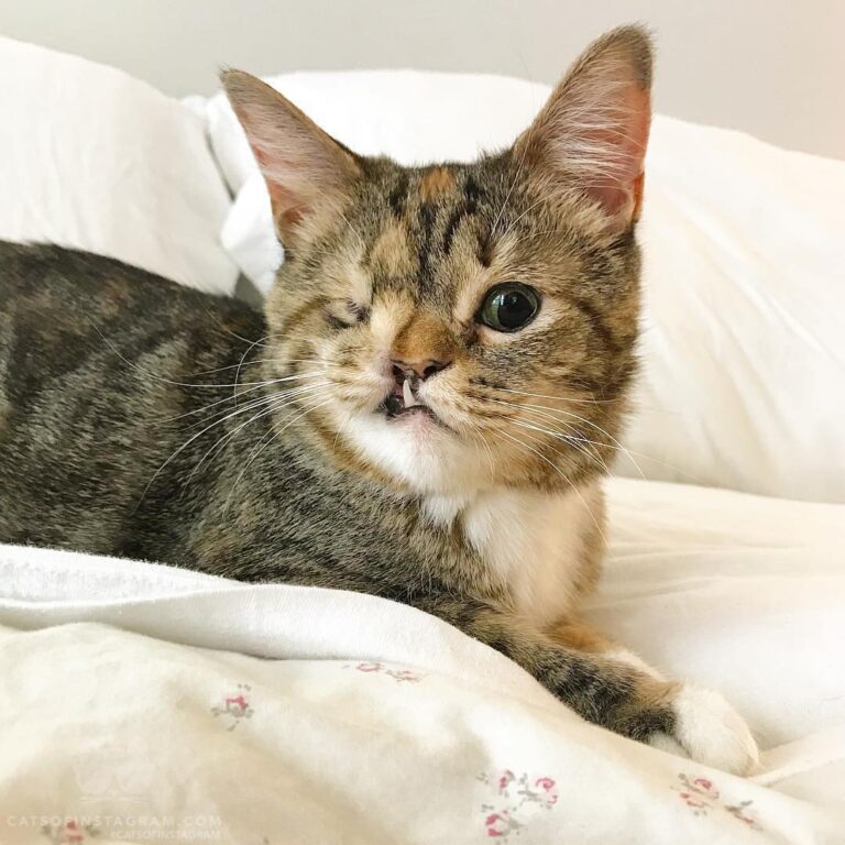 HAPPY 3RD BIRTHDAY TO MISS P!!!